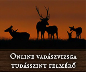Vadaszvizsga-tesztlap-online