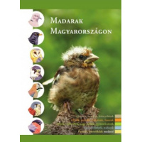 madarakmagyarorszagon