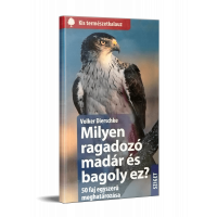 milyen_ragadozo_madar_es_bagoly_ez